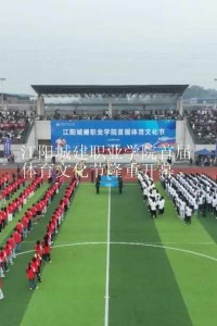 江阳城建职业学院首届体育文化节隆重开幕