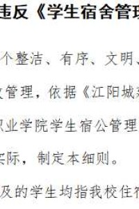 江阳城建职业学院违反《学生宿舍管理规定》处分细则